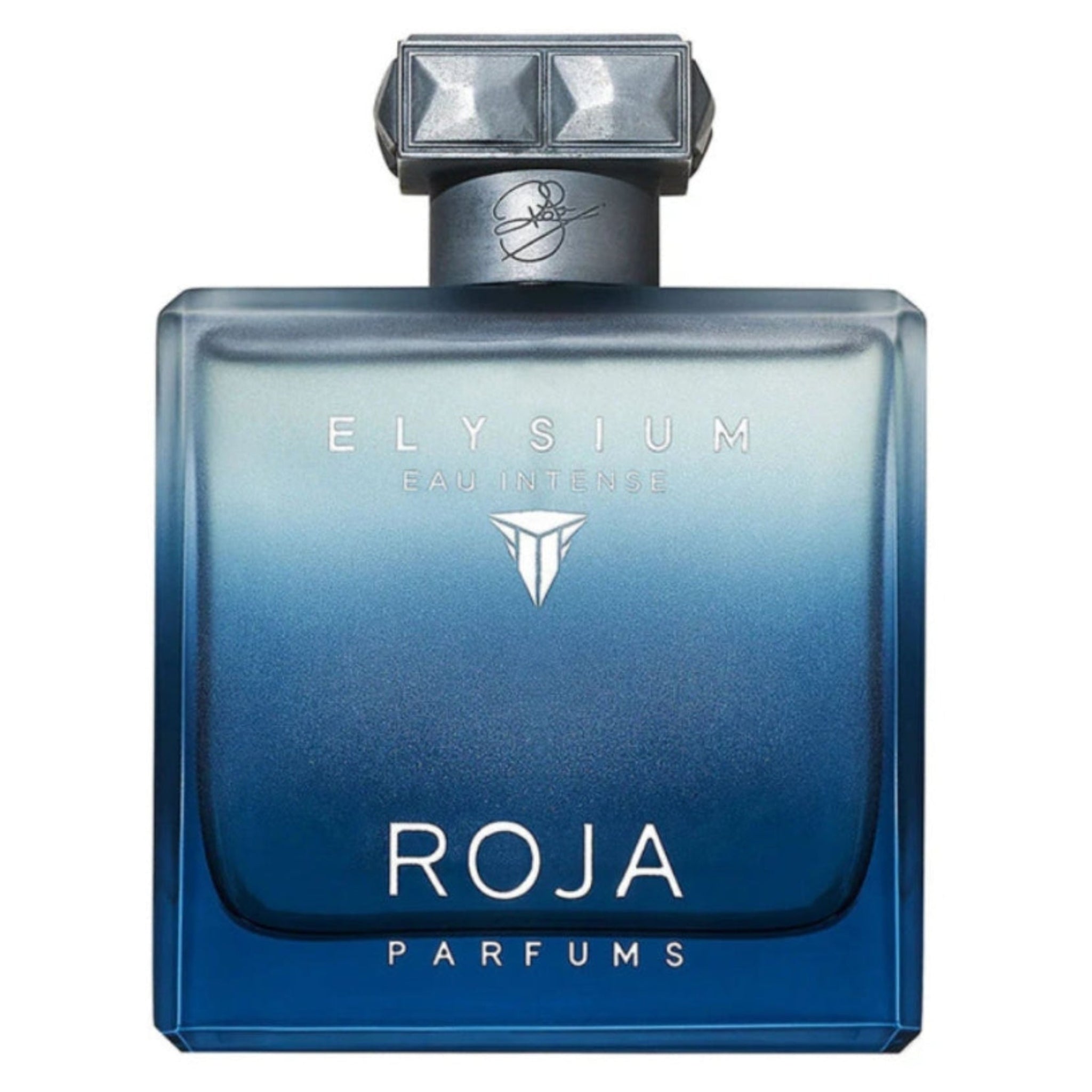 Roja Elysium Intense 3.4oz Men EDP Spray by Roja