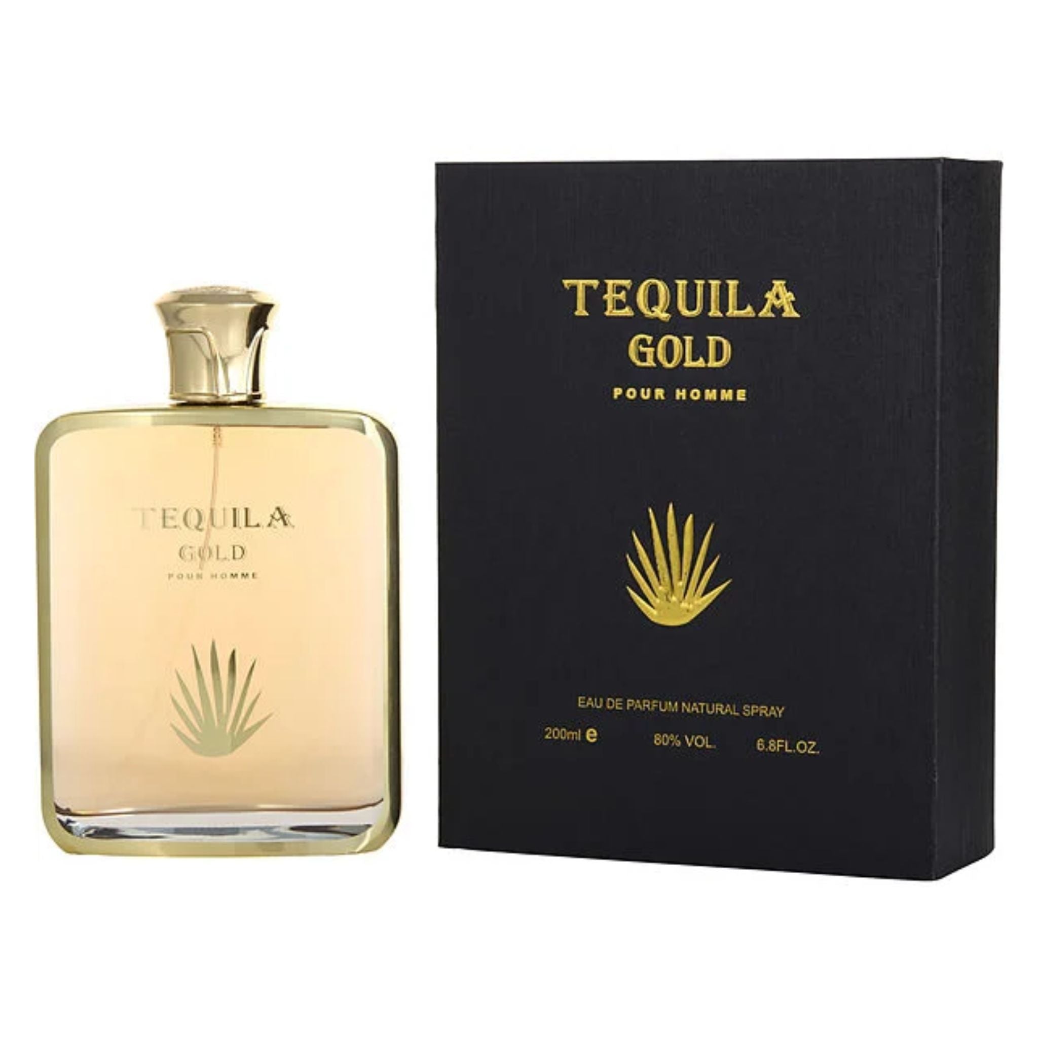 Tequila Gold 6.8oz Men EDP Spray by Tequila