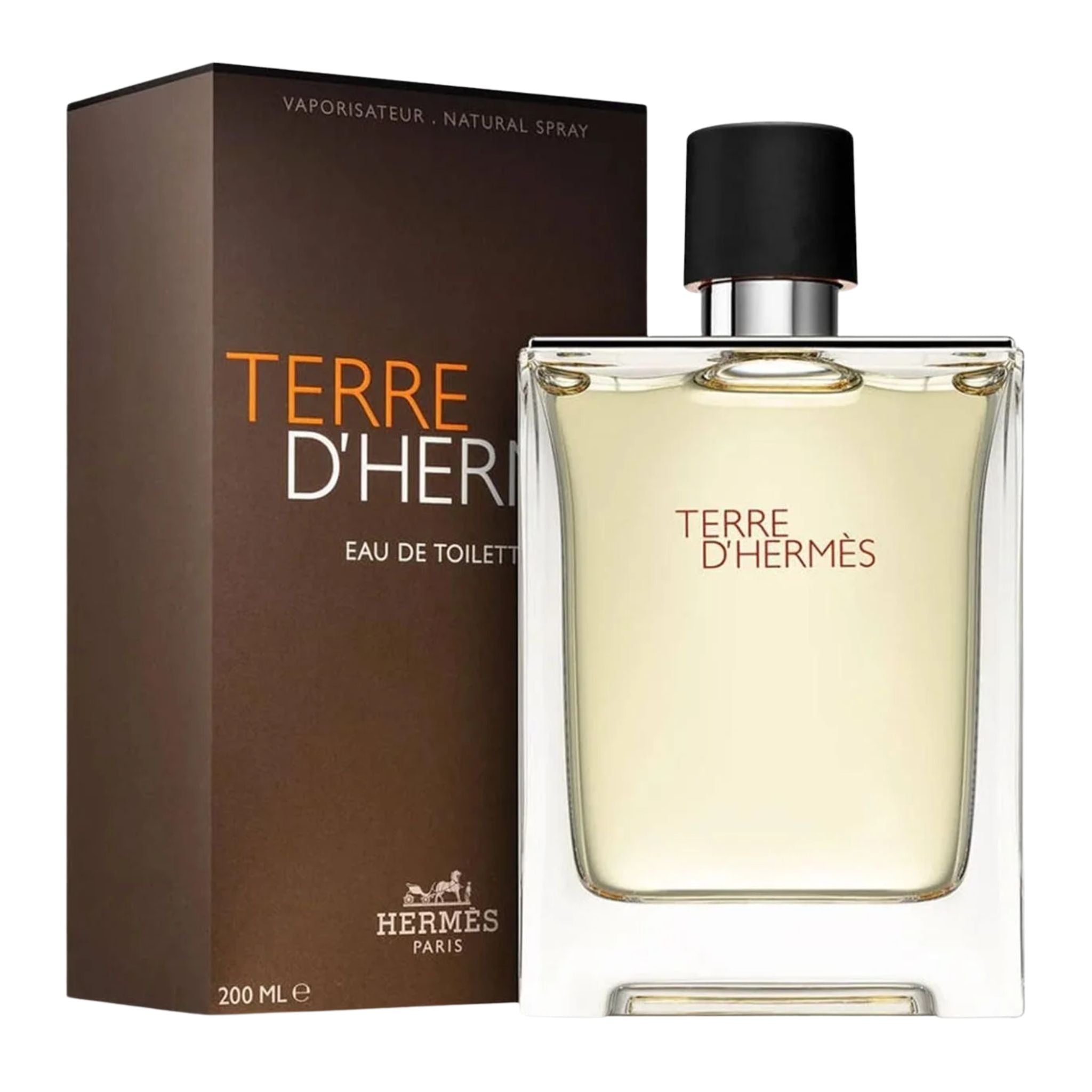 Hermes Terre Dhermes 6.7oz Men EDT Spray by Hermes