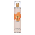 Vince Camuto Bella 8.0oz Women Body Mist Spray by Vince Camuto