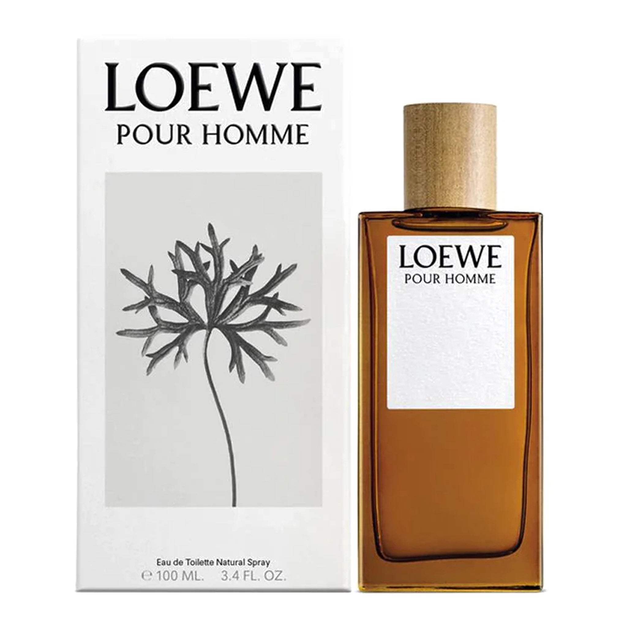 Loewe Pour Homme 3.4oz Men EDT Spray by Loewe