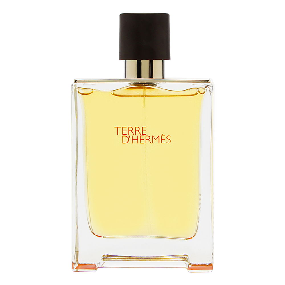 Hermes Terre Dhermes 3.3oz Men EDT Spray Tester by Hermes