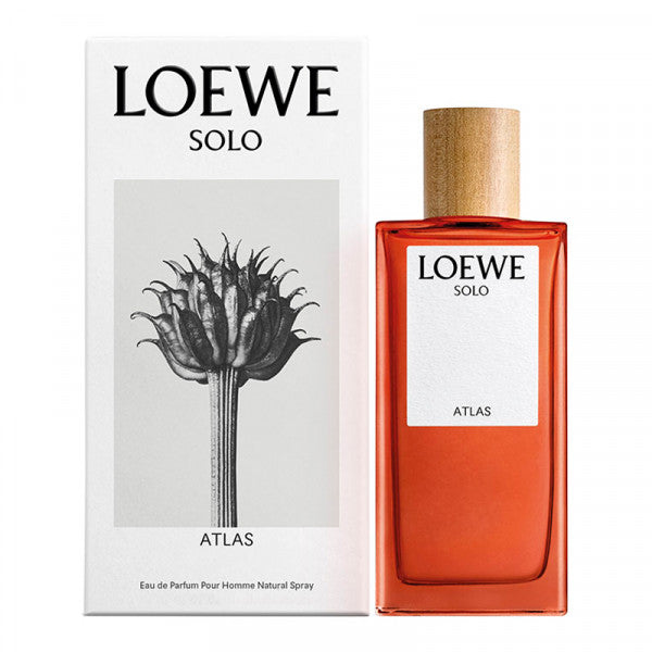Loewe Solo Atlas 3.4oz Men EDP Spray by Loewe
